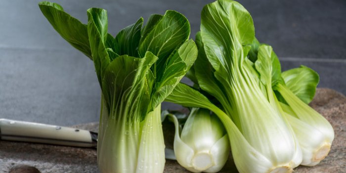 5 lÃ©gumes Ã  feuilles vertes que vous devriez manger tous les jours 