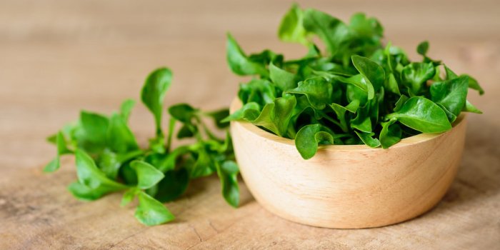 5 lÃ©gumes Ã  feuilles vertes que vous devriez manger tous les jours 