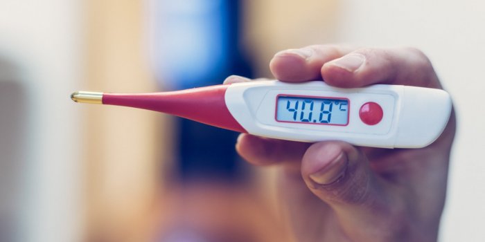 Dengue : 5 symptômes à repérer