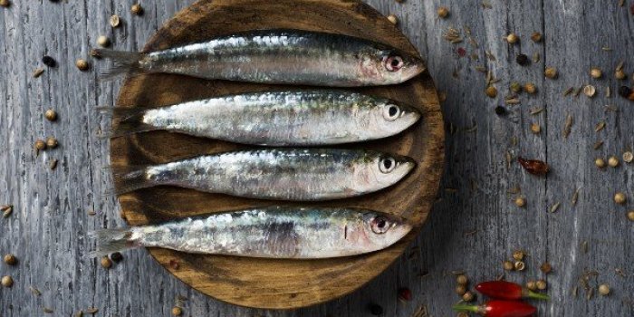 Migraine : manger du poisson gras rÃ©duit les crises 