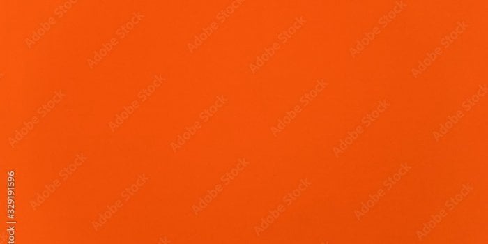 Moustiques : 5 couleurs qui les attirent