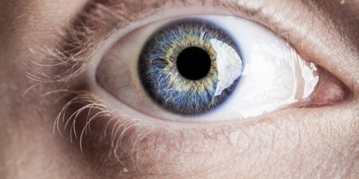 Cholestérol : 9 signes qui montrent que vous en avez trop