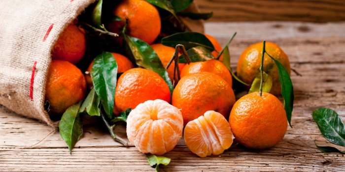 Fêtes de fin dâannée : 9 aliments à consommer les yeux fermés