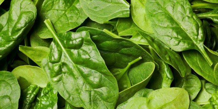 5 aliments qui facilitent la cicatrisation