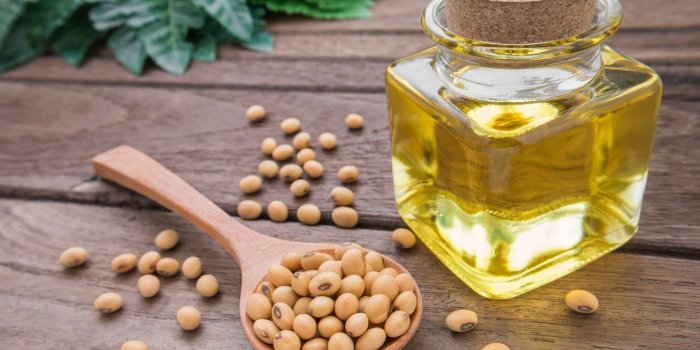 Migraines : ces 8 aliments à privilégier pour éviter les crises