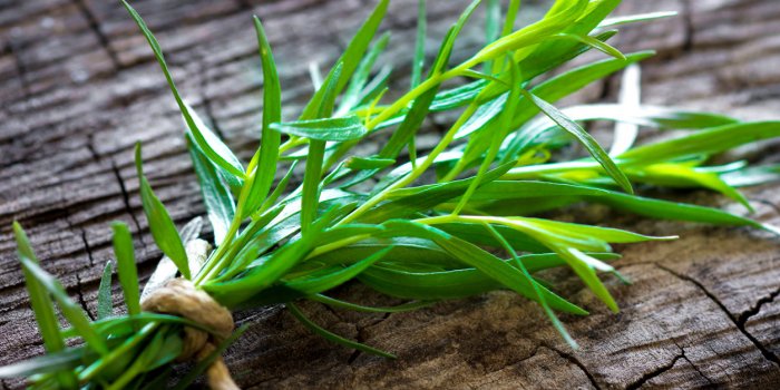 Sommeil : 5 épices et aromates qui aident à mieux dormir