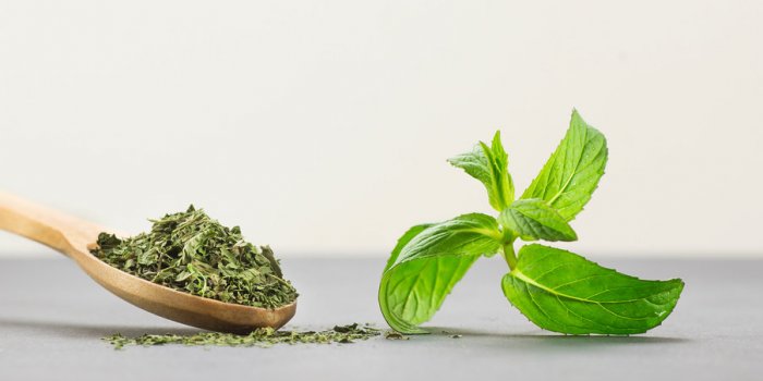 Anxiété : la vitamine B6 permettrait de la diminuer