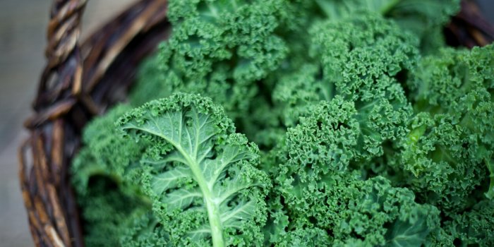 Cellulite : 5 aliments qui aident à la réduire