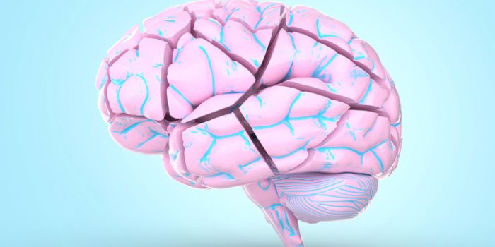 10 effets néfastes du stress sur votre organisme