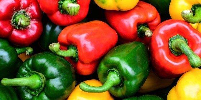 Peau : 9 aliments pour faire le plein de collagène
