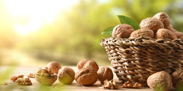 Peau : 9 aliments pour faire le plein de collagène