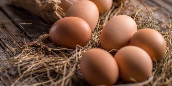 Peau : 9 aliments pour faire le plein de collagène