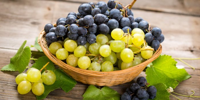 10 aliments pour faire le plein dâantioxydants