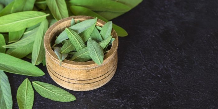 Café et maladies cardiovasculaires : les aliments qui protègent aussi bien