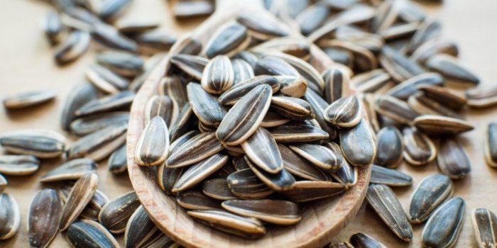 Café et maladies cardiovasculaires : les aliments qui protègent aussi bien