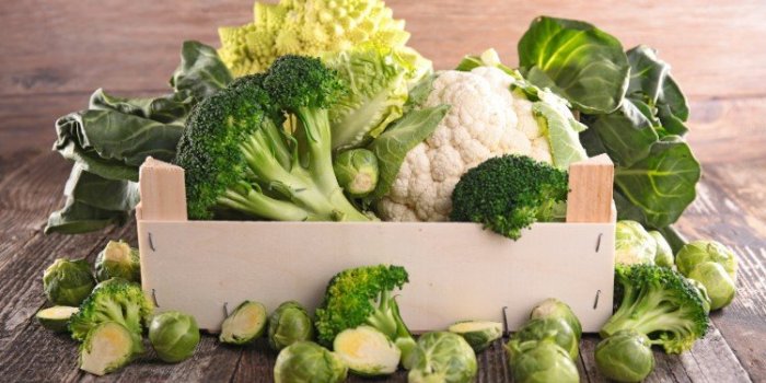 Café et maladies cardiovasculaires : les aliments qui protègent aussi bien