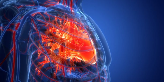 AVC : 6 facteurs de risque sous-diagnostiqués, selon une étude