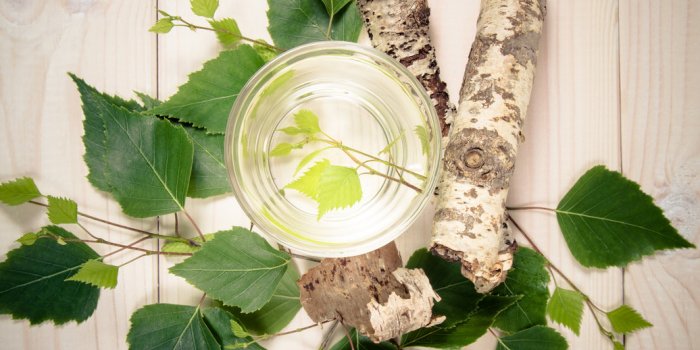 RÃ©tention dâeau : 8 plantes pour des jambes plus lÃ©gÃ¨res