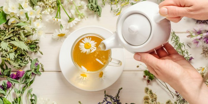 Rétention dâeau : 8 plantes pour des jambes plus légères