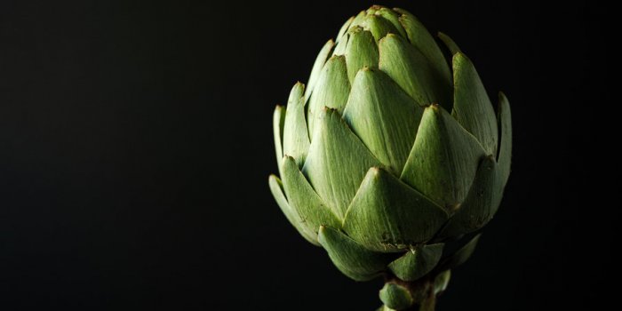 Rétention dâeau : 8 plantes pour des jambes plus légères