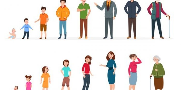 Cancer du rein : 9 facteurs de risques à connaître