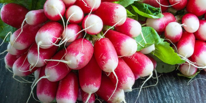 10 fruits et légumes du printemps pour perdre du poids