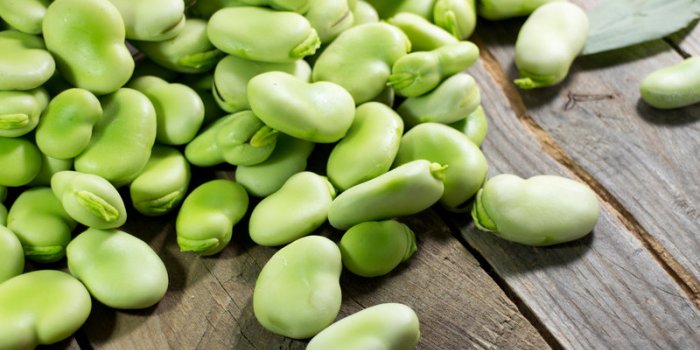 Démence, mort précoce : un taux faible en vitamine B9 augmente les risques