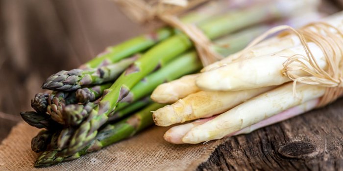 Démence, mort précoce : un taux faible en vitamine B9 augmente les risques