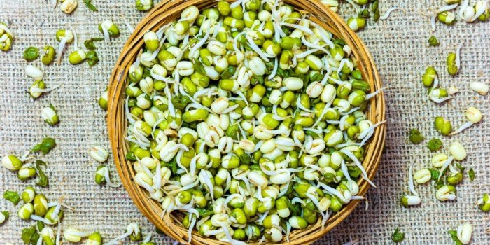 Démence, mort précoce : un taux faible en vitamine B9 augmente les risques