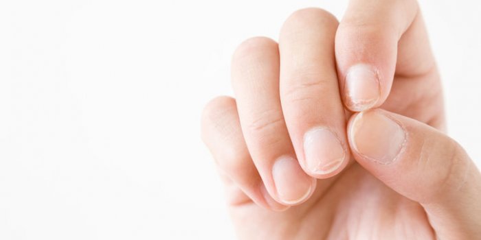 Protéines : 12 signes que vous êtes en carence
