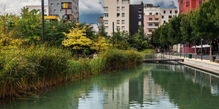 Maladie de Lyme, Tiques : les régions les plus à risques