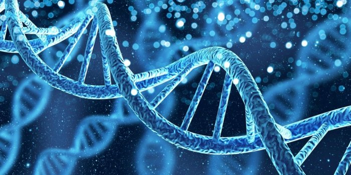 Cancer colorectal : 10 facteurs de risque à connaître