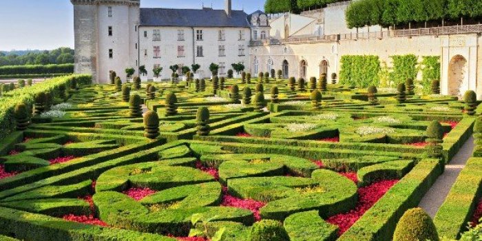 COVID-19 : Les régions où le plus de femmes sont hospitalisées