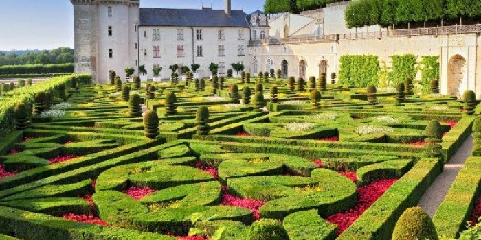 COVID-19 : Les rÃ©gions oÃ¹ le plus de femmes sont hospitalisÃ©es