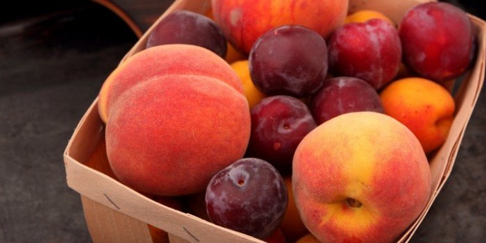 DÃ©clin cognitif : le top 10 des fruits et lÃ©gumes les plus protecteurs