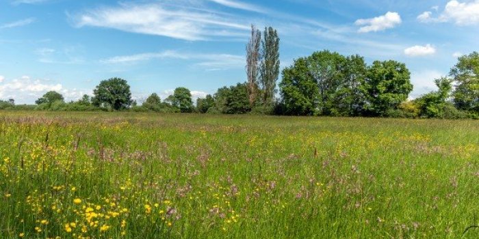 Maladie de Lyme : les 6 zones à risques de morsure de tiques