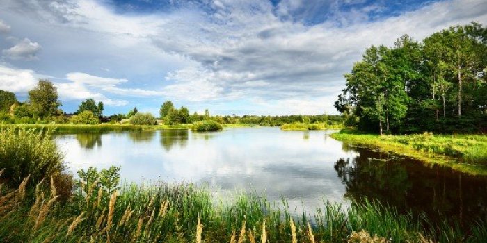 Maladie de Lyme : les 6 zones à risques de morsure de tiques