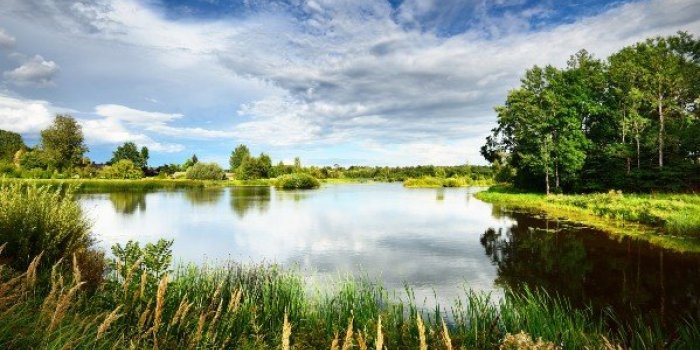 Maladie de Lyme : les 6 zones Ã  risques de morsure de tiques