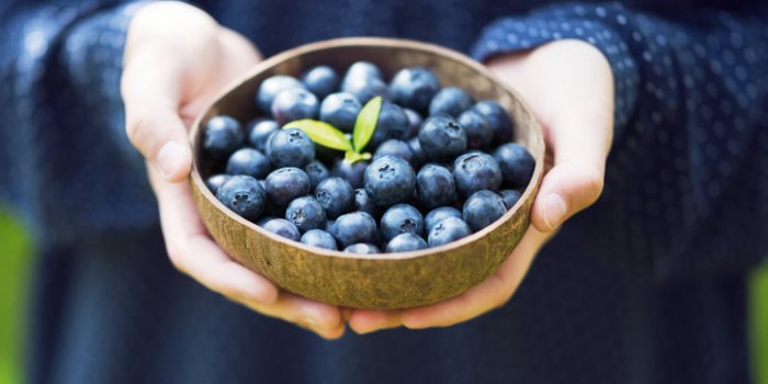 Une alimentation riche en flavanols aiderait Ã  "brÃ»ler" les graisses