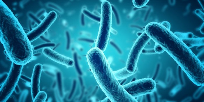 Les 5 vertus santé du piment