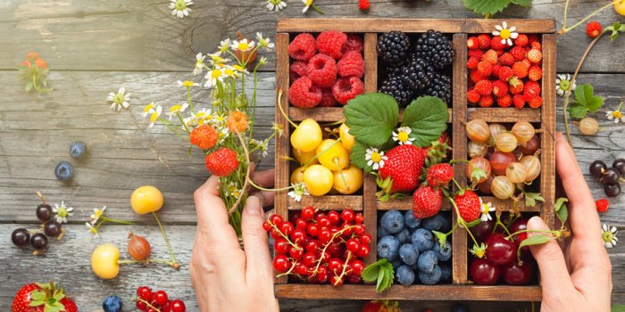 Bactérie E. coli : 5 aliments à risque