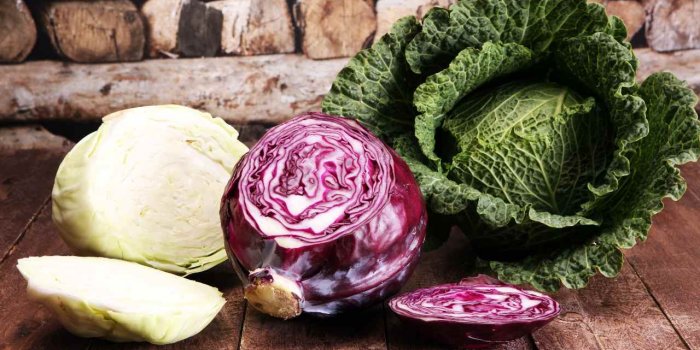 10 aliments qui accélèrent la perte de poids