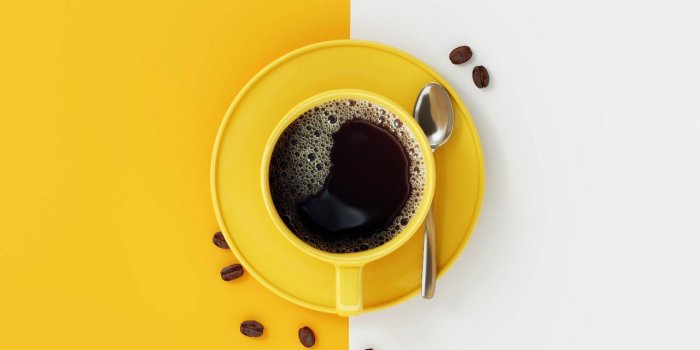 10 aliments qui accélèrent la perte de poids