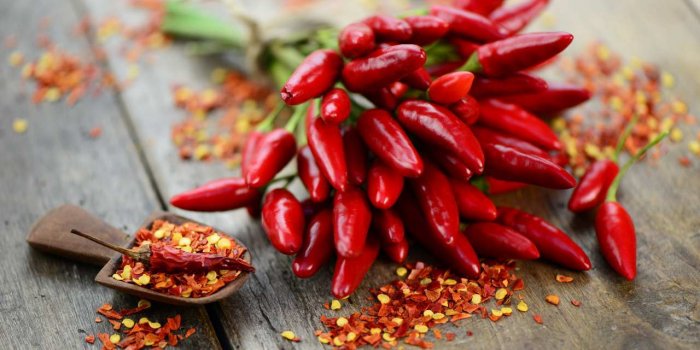 10 aliments qui accélèrent la perte de poids