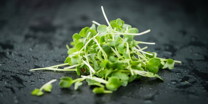 Longévité : 5 aliments anti-inflammatoires à mettre au menu