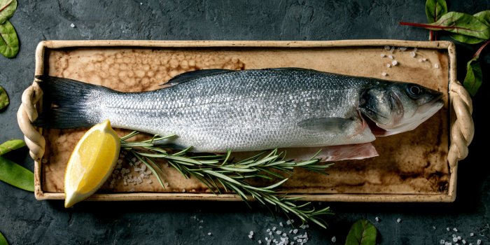 raw fresh uncooked fish sea bass on ceramit plate ready to cook with lemon, sea salt, rosemary, green salad over dark tex...