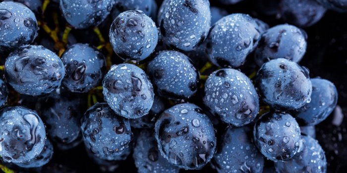 Diabète : 7 fruits qui augmentent lâindice glycémique
