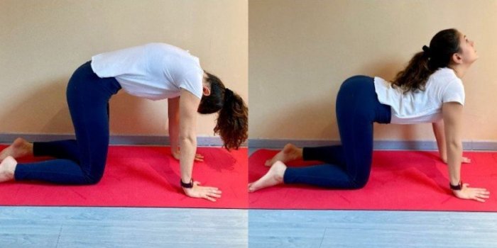 Yoga : 5 postures pour bien digÃ©rer la dinde de NoÃ«l !