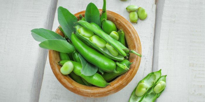 bowl of podded green broad beans on a wooden table healthy organic food top view