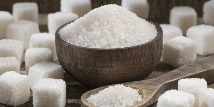 Manger après 60 ans : ce qu'il faut mettre dans son assiette pour rester en bonne santé